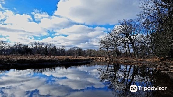 Selkirk Shores State Park