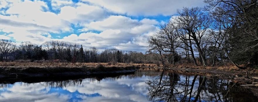 Oswego County
