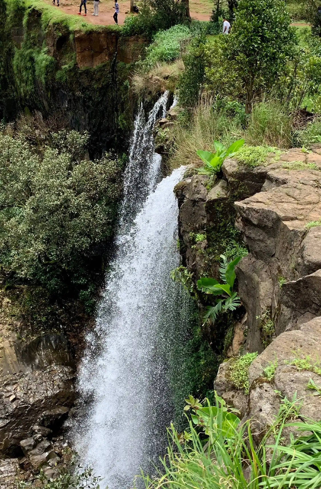 Hotels near Vajrapoha Falls