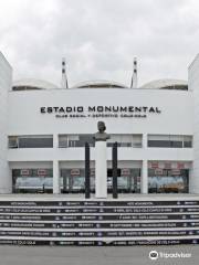 Museo Colo-Colo