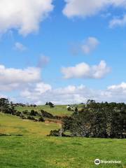 Totara Park