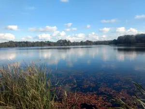 Lurgan Park