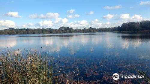 Lurgan Park