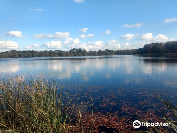 Lurgan Park