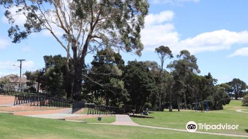 Magical Park at Gutterridge Gardens in Waratah-Wynyard