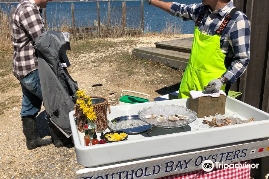 Southold Bay Oysters
