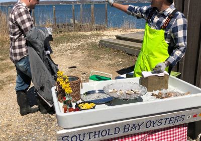 Southold Bay Oysters