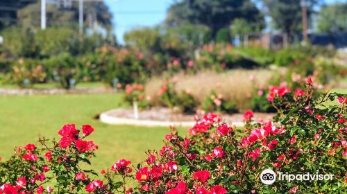 The Rose Gardens of Farmers Branch