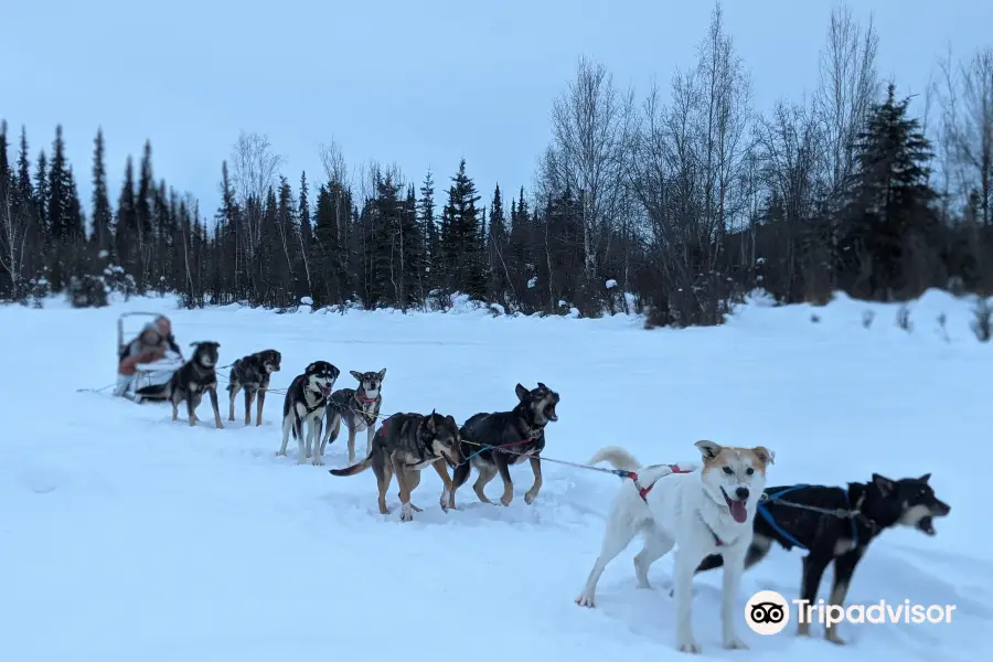 Skookum Expeditions