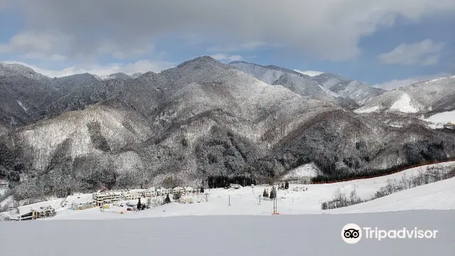 Skiing in Takayama
