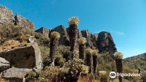 Paramo de Oceta