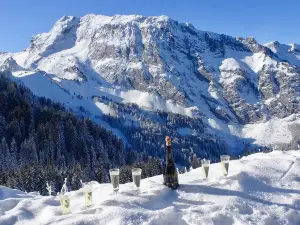 La Sambuy-Seythenex