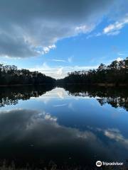 Double Lake Recreation Area