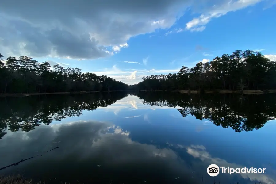 Double Lake Recreation Area