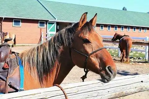 Hotels near Jasper Park Stables at the Fairmont Jasper Park Lodge