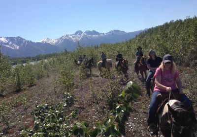 Alaska Horse Adventures, LLC