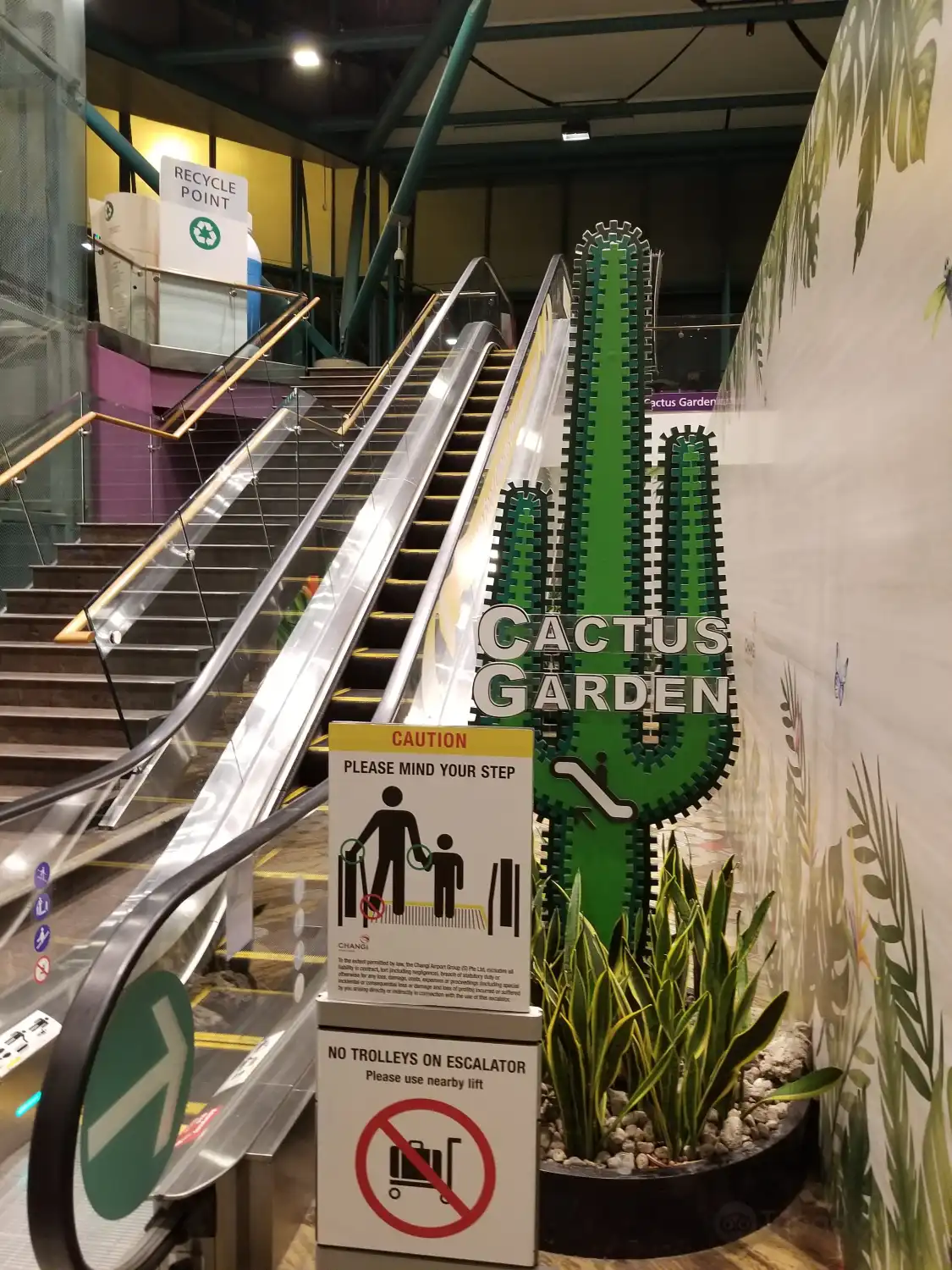 Hotel in zona Cactus Garden
