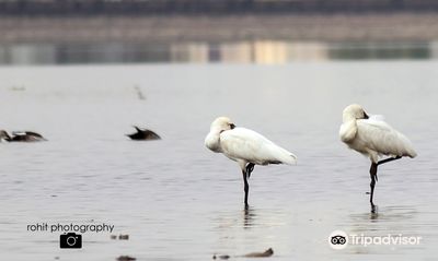 Rankala Lake