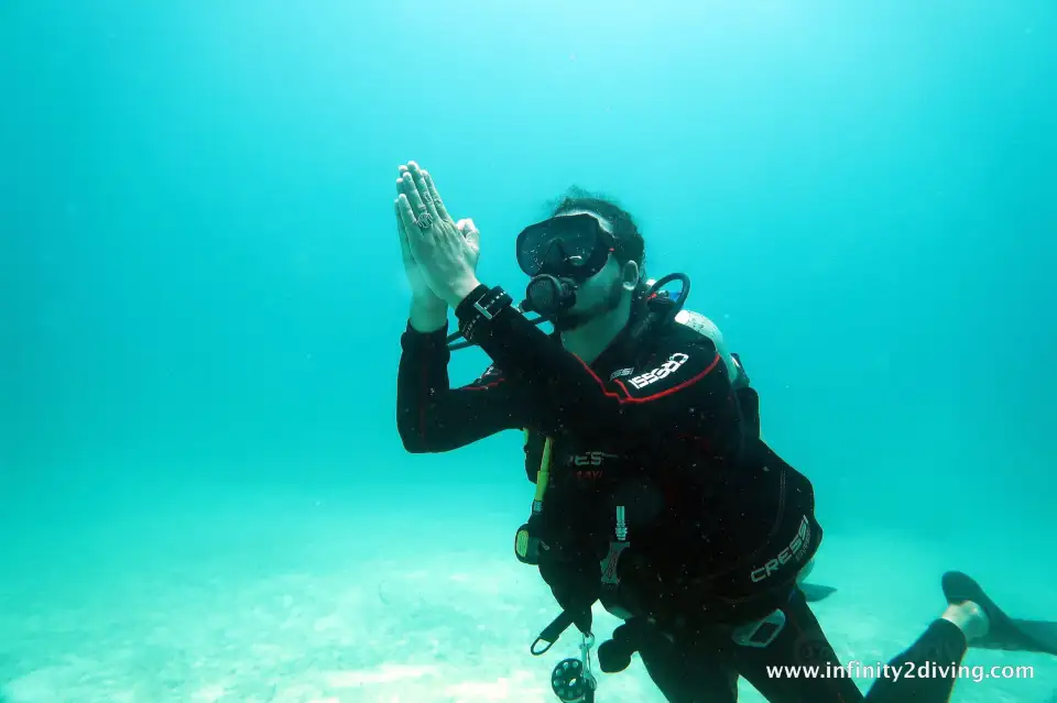 3_Infinity 2 Diving