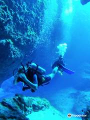 Magical Niue Sea Adventures