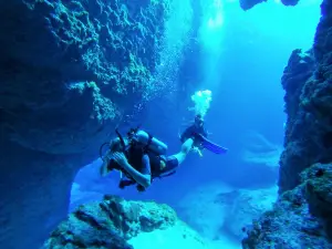 Magical Niue Sea Adventures