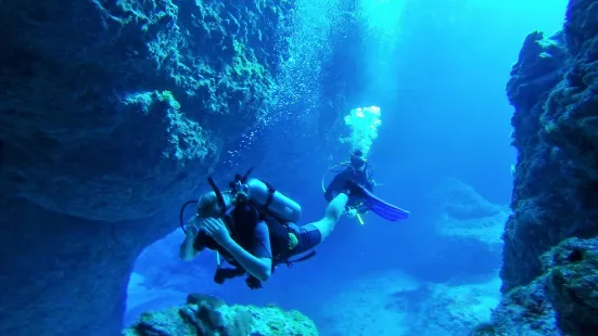 Magical Niue Sea Adventures