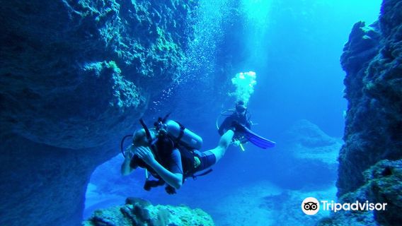 Magical Niue Sea Adventures