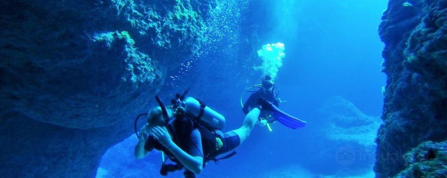 Magical Niue Sea Adventures