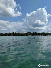 North Higgins Lake State Park