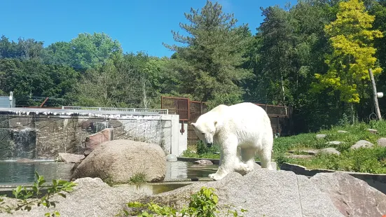 Parc Zoologique & Botanique de Mulhouse