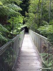 Corrigan's Suspension Bridge