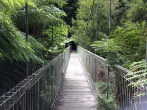 Corrigan's Suspension Bridge