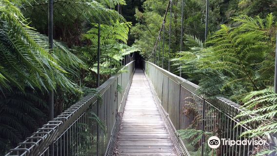 Corrigan Suspension Bridge