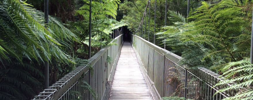 Corrigan's Suspension Bridge