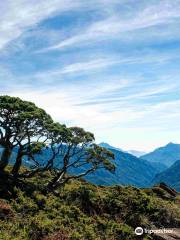 Hehuanshan North Peak Trail