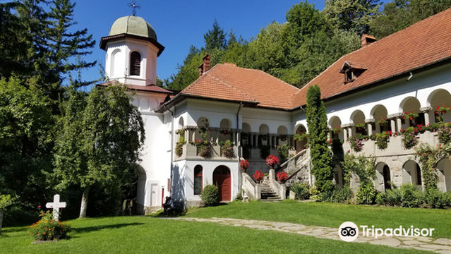 Turnu Monastery