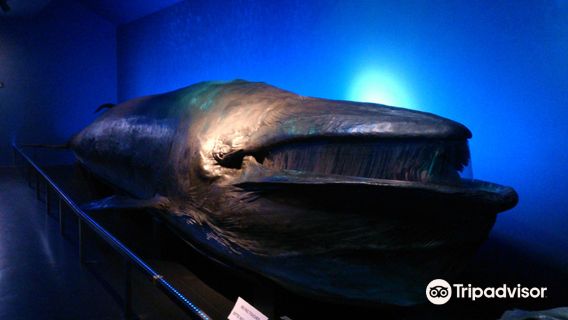 Natural History Museum