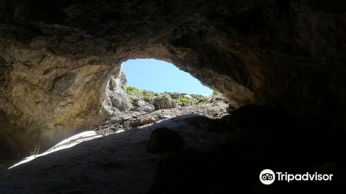 Schellenberg Ice Cave