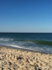 Nauset Beach