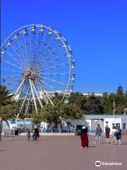 Seafront Promenade