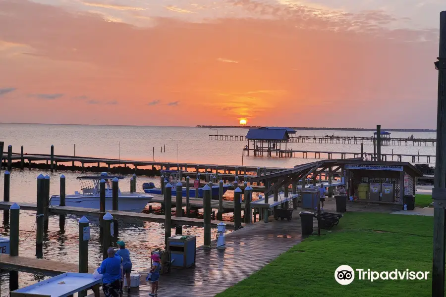 Gulf Adventures Fishing