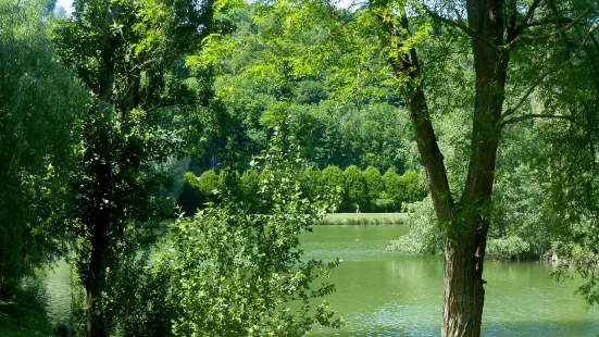 Lac de Montville