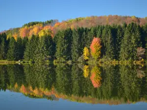 Hills Creek State Park