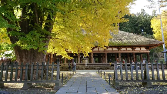 新宮熊野神社