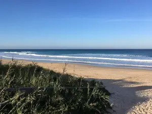 Playa El Palmar