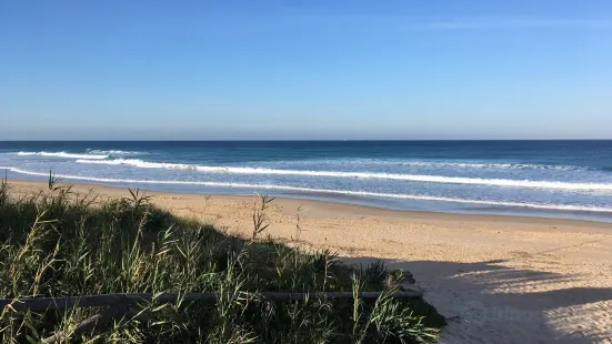 Playa El Palmar