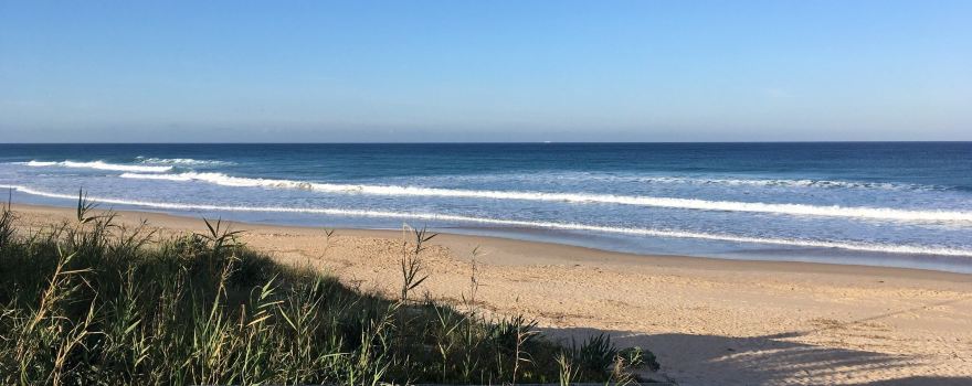 Playa El Palmar