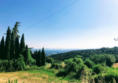 Sant'Agnese Farm