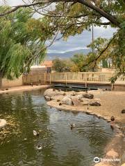 Alameda Park Zoo