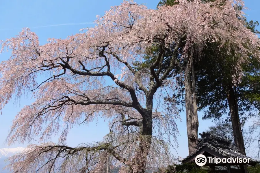 栖林寺